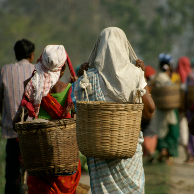 Bihu People going for their livelihood